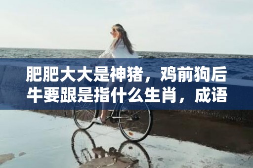 肥肥大大是神猪，鸡前狗后牛要跟是指什么生肖，成语释义解释落实