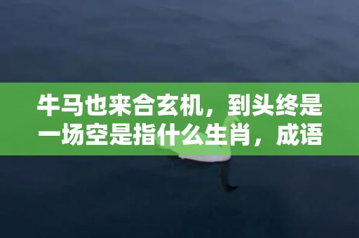 牛马也来合玄机，到头终是一场空是指什么生肖，成语释义解释落实插图