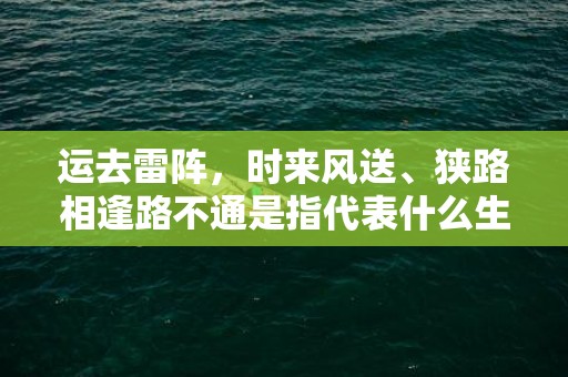 运去雷阵，时来风送、狭路相逢路不通是指代表什么生肖，打一最佳生肖词语，成语释义解释落实插图