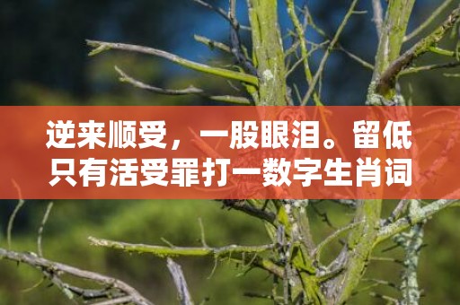 逆来顺受，一股眼泪。留低只有活受罪打一数字生肖词语，成语释义解释落实插图