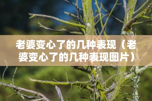 老婆变心了的几种表现（老婆变心了的几种表现图片）