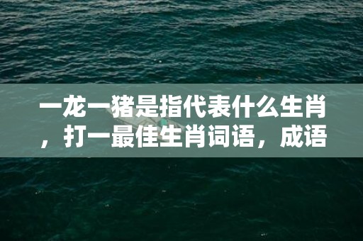 一龙一猪是指代表什么生肖，打一最佳生肖词语，成语释义解释落实插图