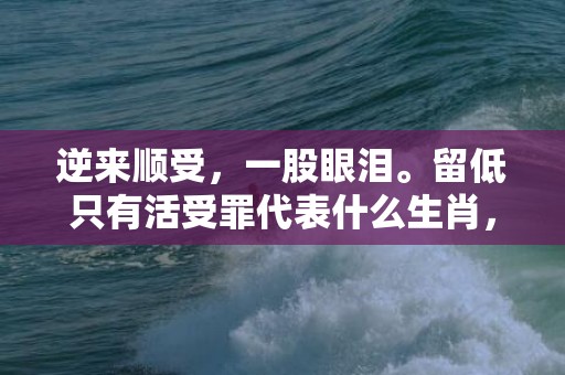 逆来顺受，一股眼泪。留低只有活受罪代表什么生肖，成语释义解释落实