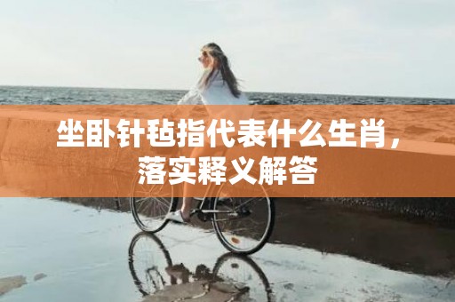 坐卧针毡指代表什么生肖，落实释义解答