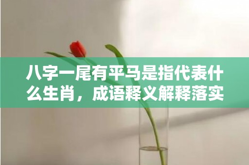 八字一尾有平马是指代表什么生肖，成语释义解释落实