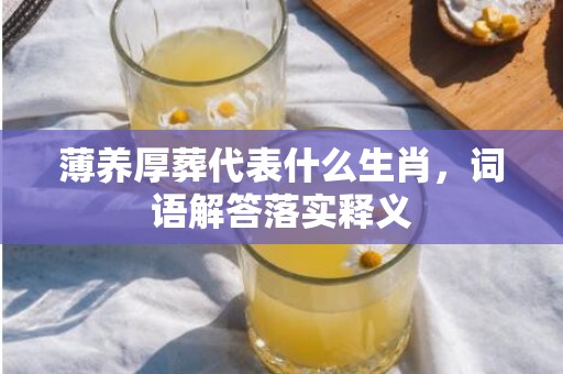 薄养厚葬代表什么生肖，词语解答落实释义