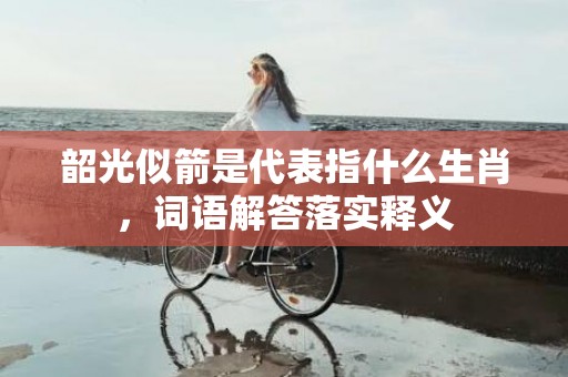 韶光似箭是代表指什么生肖，词语解答落实释义