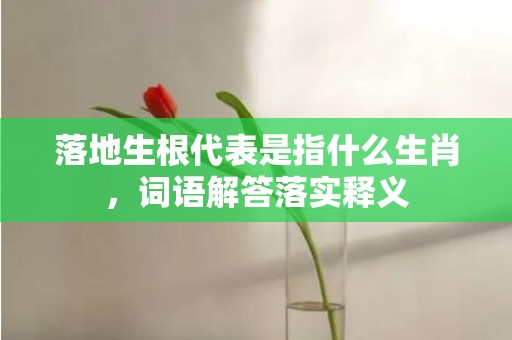 落地生根代表是指什么生肖，词语解答落实释义