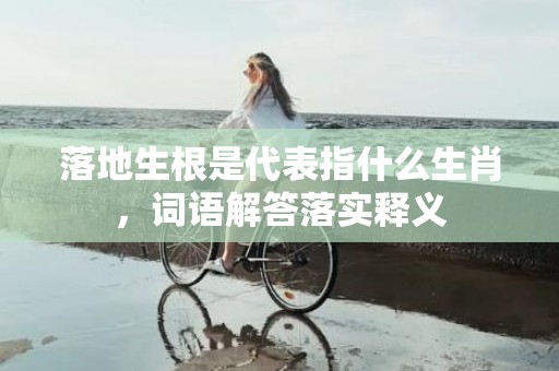 落地生根是代表指什么生肖，词语解答落实释义