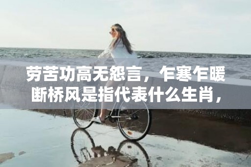 劳苦功高无怨言，乍寒乍暖断桥风是指代表什么生肖，成语释义解释落实