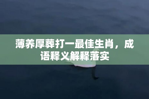 薄养厚葬打一最佳生肖，成语释义解释落实