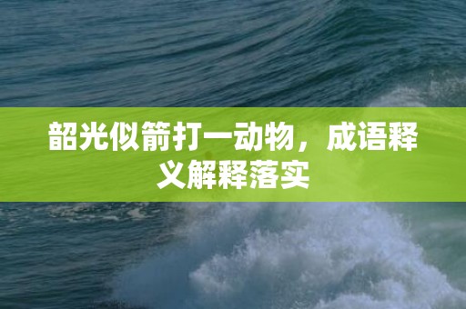 韶光似箭打一动物，成语释义解释落实