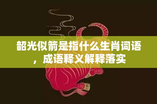 韶光似箭是指什么生肖词语，成语释义解释落实