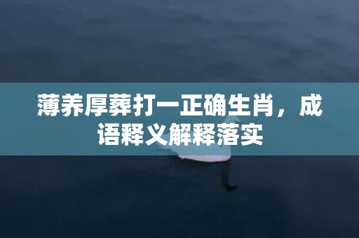 薄养厚葬打一正确生肖，成语释义解释落实