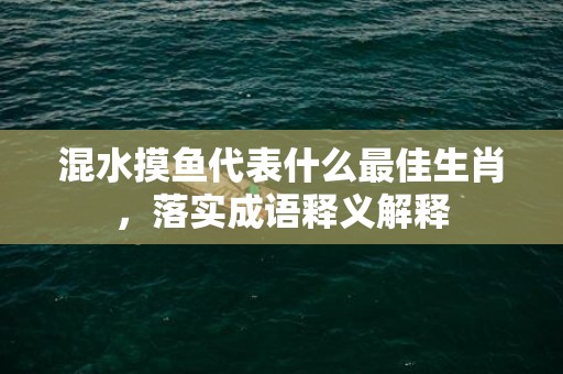 混水摸鱼代表什么最佳生肖，落实成语释义解释插图