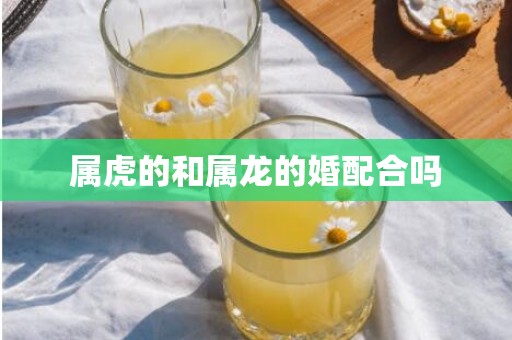 属虎的和属龙的婚配合吗