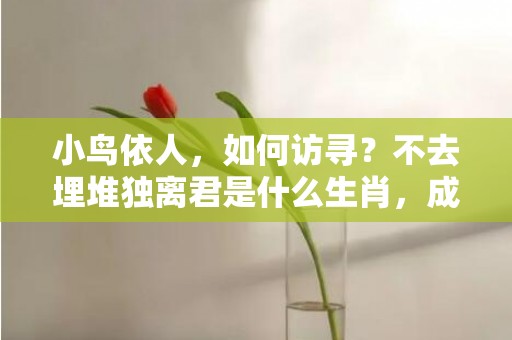 小鸟依人，如何访寻？不去埋堆独离君是什么生肖，成语解释落实释义插图