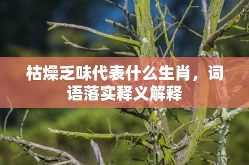 枯燥乏味代表什么生肖，词语落实释义解释插图