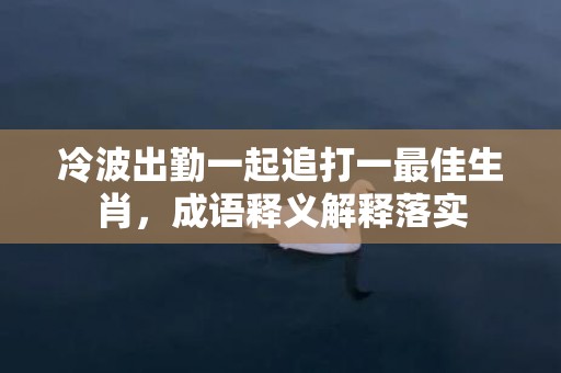 冷波出勤一起追打一最佳生肖，成语释义解释落实插图