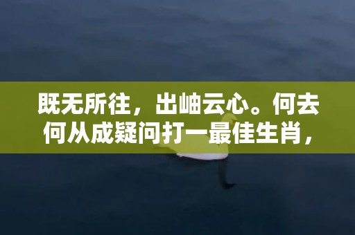 既无所往，出岫云心。何去何从成疑问打一最佳生肖，成语释义解释落实