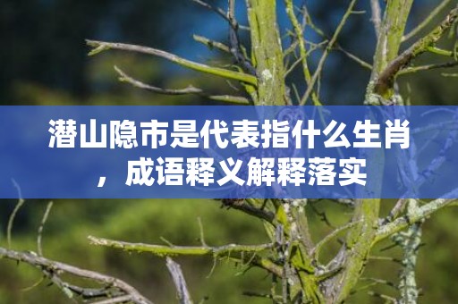 潜山隐市是代表指什么生肖，成语释义解释落实插图