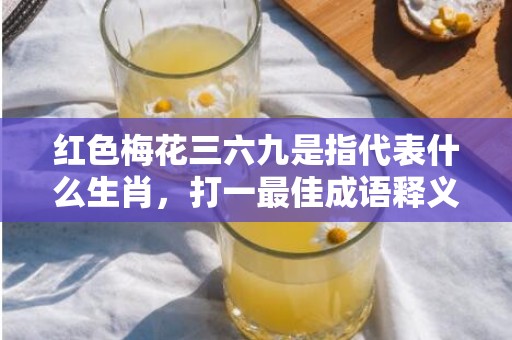 红色梅花三六九是指代表什么生肖，打一最佳成语释义解释落实插图