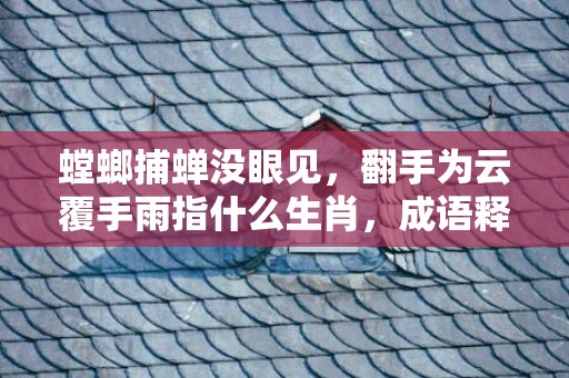 螳螂捕蝉没眼见，翻手为云覆手雨指什么生肖，成语释义解释落实