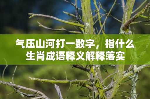 气压山河打一数字，指什么生肖成语释义解释落实插图