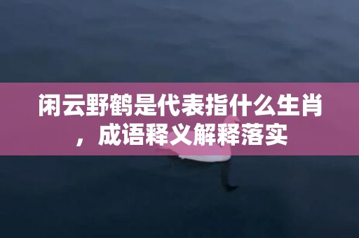 闲云野鹤是代表指什么生肖，成语释义解释落实插图