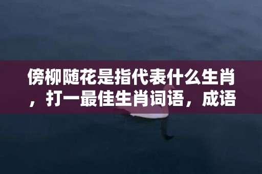 傍柳随花是指代表什么生肖，打一最佳生肖词语，成语释义解释落实插图