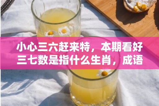 小心三六赶来特，本期看好三七数是指什么生肖，成语释义解释落实插图