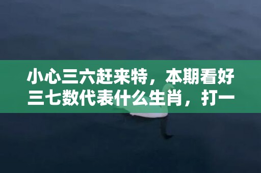 小心三六赶来特，本期看好三七数代表什么生肖，打一最佳准确生肖词语释义落实解释插图