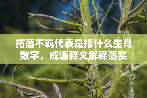 拓落不羁代表是指什么生肖数字，成语释义解释落实插图