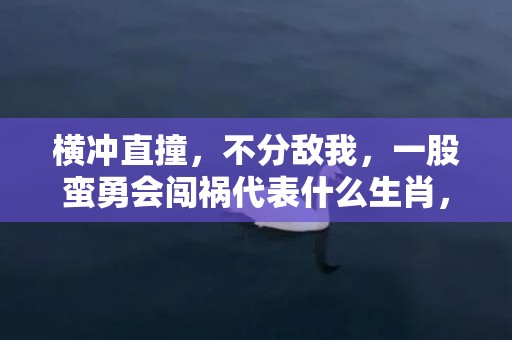 横冲直撞，不分敌我，一股蛮勇会闯祸代表什么生肖，打一最佳准确生肖词语释义落实解释