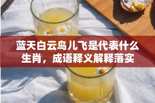 蓝天白云鸟儿飞是代表什么生肖，成语释义解释落实插图