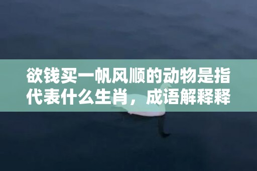 欲钱买一帆风顺的动物是指代表什么生肖，成语解释释义落实插图