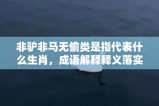 非驴非马无偷类是指代表什么生肖，成语解释释义落实插图