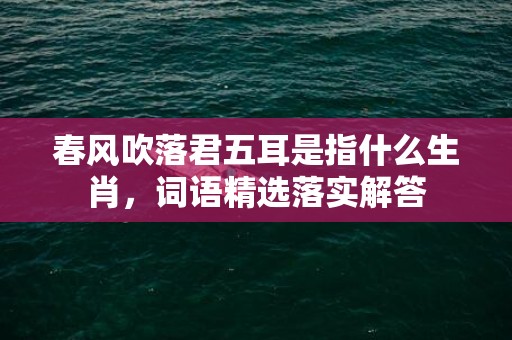 春风吹落君五耳是指什么生肖，词语精选落实解答插图