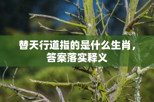 替天行道指的是什么生肖，答案落实释义插图