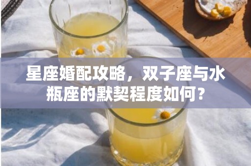 星座婚配攻略，双子座与水瓶座的默契程度如何？