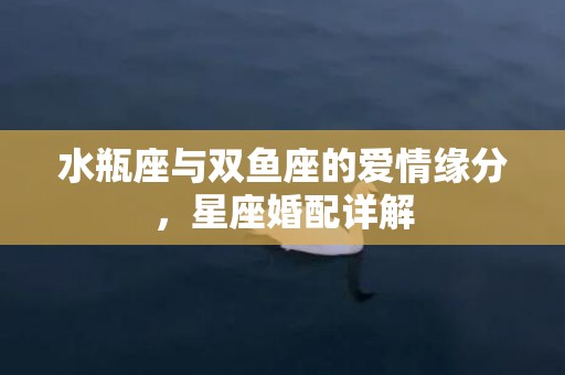 水瓶座与双鱼座的爱情缘分，星座婚配详解