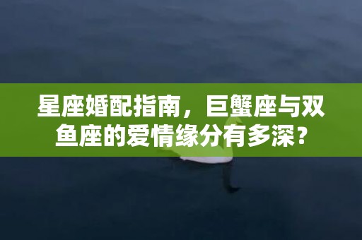 星座婚配指南，巨蟹座与双鱼座的爱情缘分有多深？