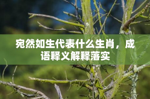 宛然如生代表什么生肖，成语释义解释落实插图