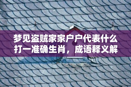 梦见盗贼家家户户代表什么打一准确生肖，成语释义解释落实插图