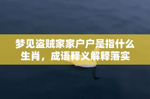 梦见盗贼家家户户是指什么生肖，成语释义解释落实插图