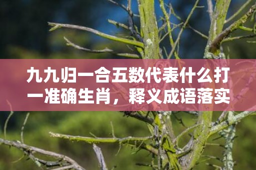 九九归一合五数代表什么打一准确生肖，释义成语落实解释插图