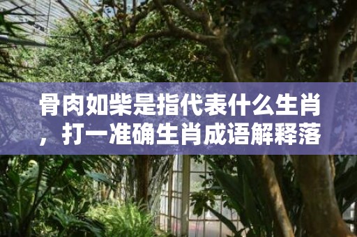 骨肉如柴是指代表什么生肖，打一准确生肖成语解释落实释义插图