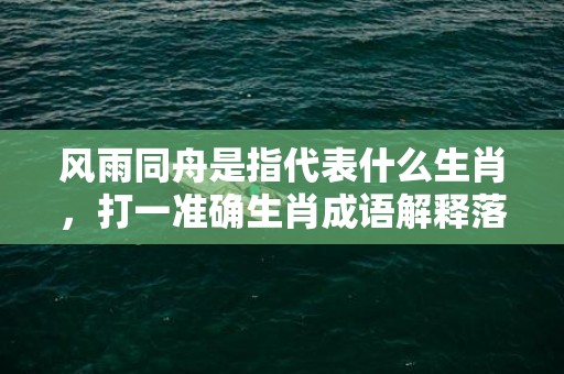 风雨同舟是指代表什么生肖，打一准确生肖成语解释落实释义插图