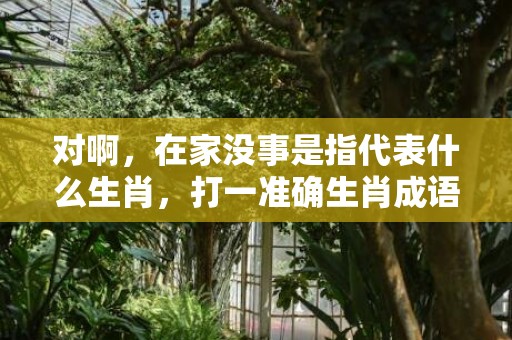 对啊，在家没事是指代表什么生肖，打一准确生肖成语解释落实释义插图