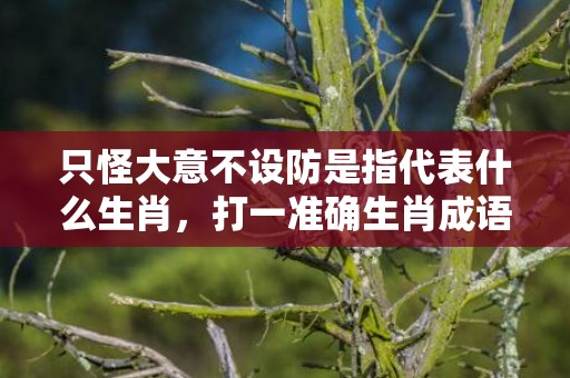 只怪大意不设防是指代表什么生肖，打一准确生肖成语解释落实释义插图